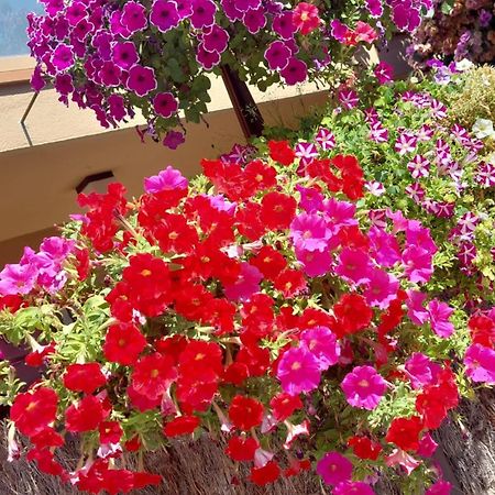 הוילה Vilabertrán Casa Deluxe Alt Emporda Costa Brava - Private Swimming Pool מראה חיצוני תמונה