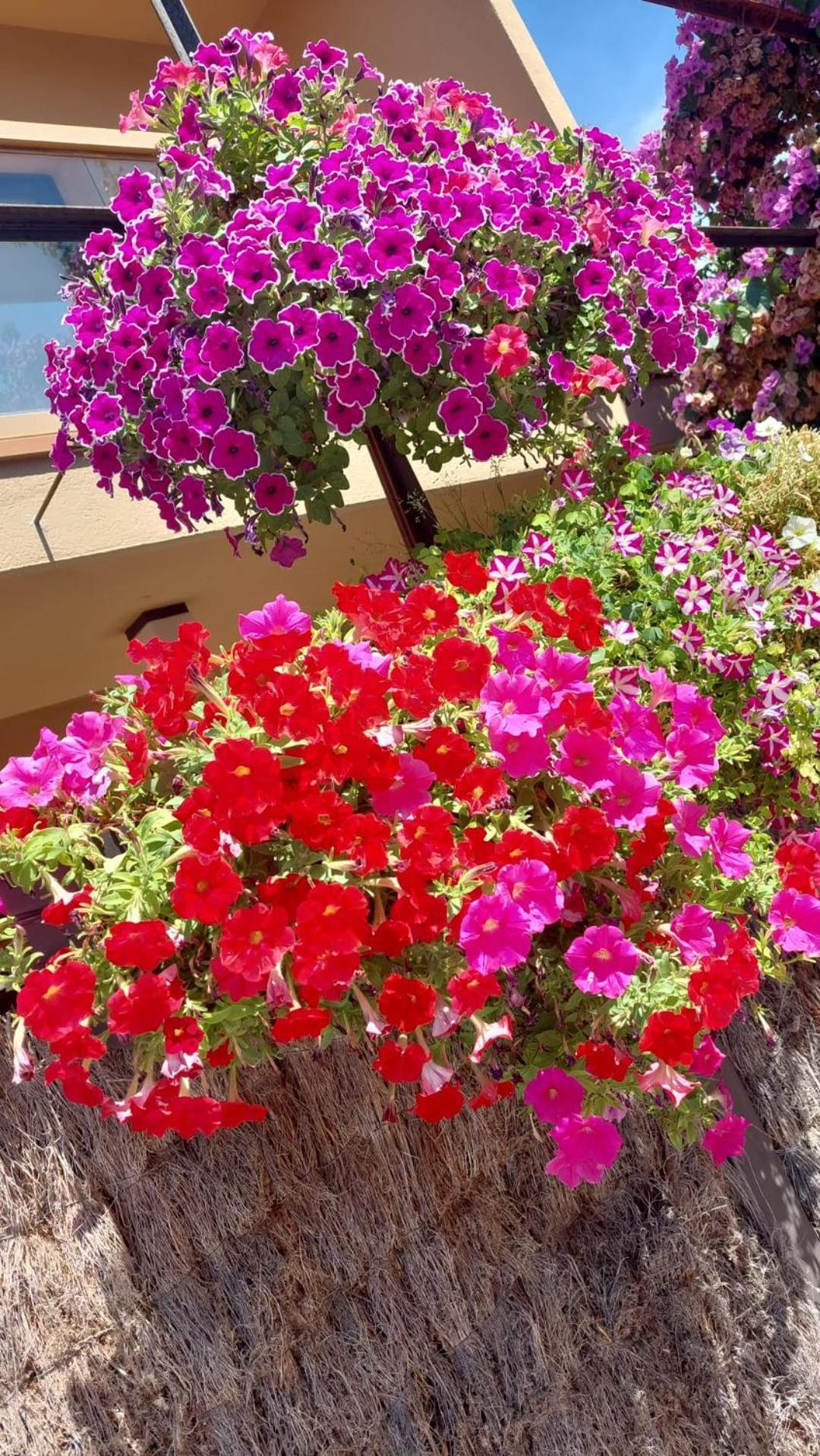 הוילה Vilabertrán Casa Deluxe Alt Emporda Costa Brava - Private Swimming Pool מראה חיצוני תמונה