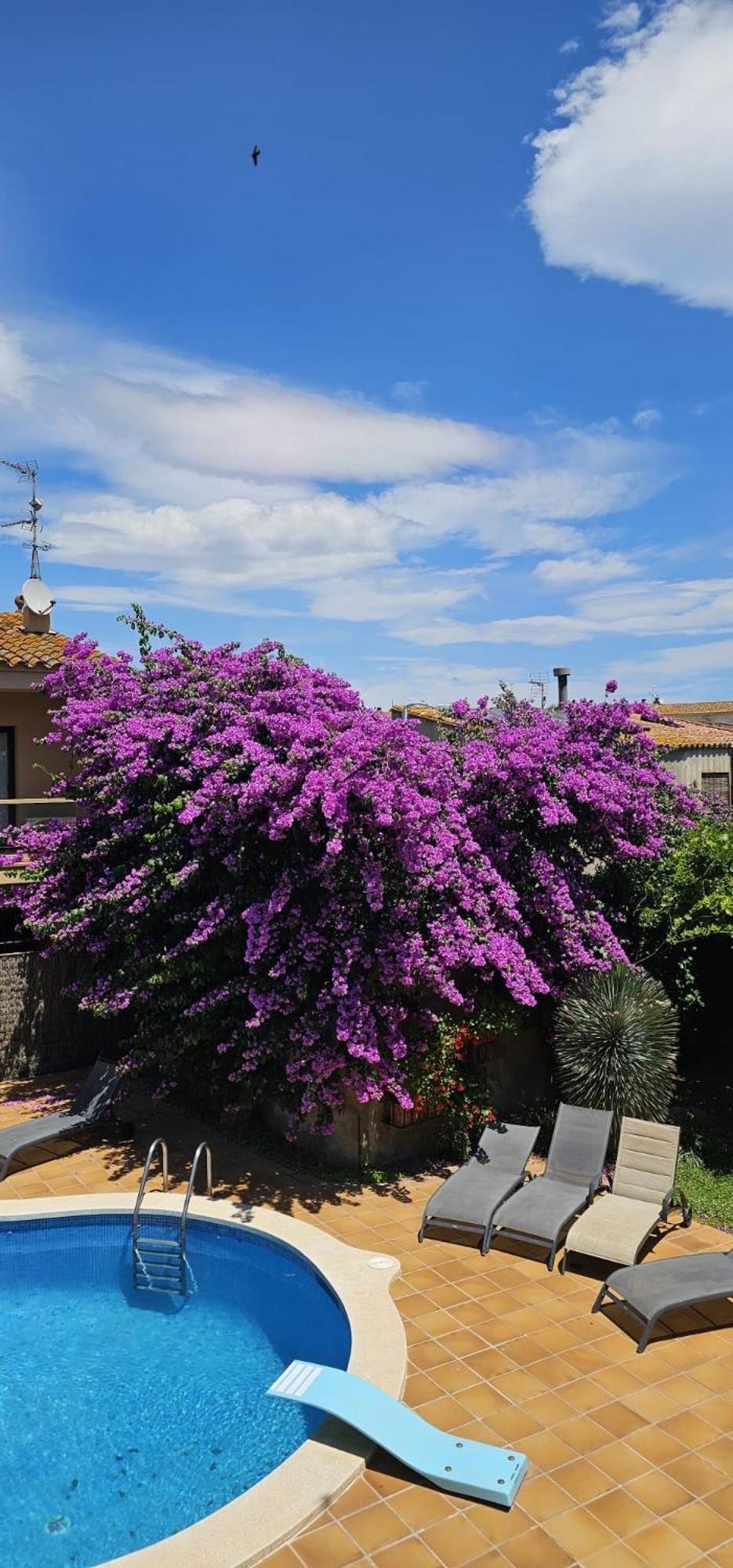 הוילה Vilabertrán Casa Deluxe Alt Emporda Costa Brava - Private Swimming Pool מראה חיצוני תמונה